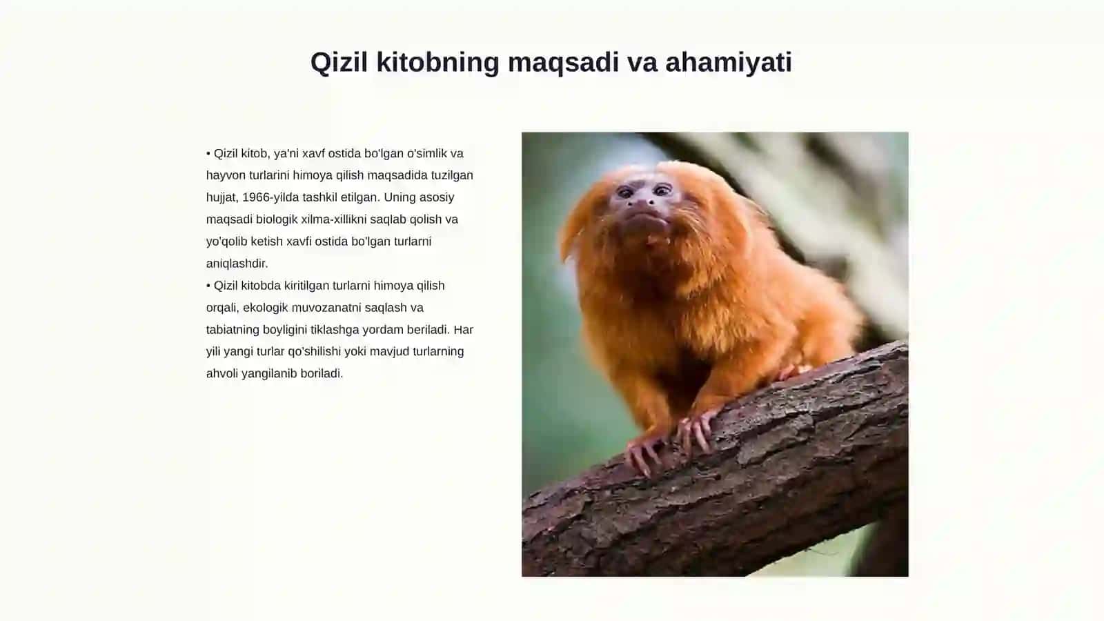 "Qizil kitob"ga kiritilgan oʻsimlik turlari bilan tanishish 3