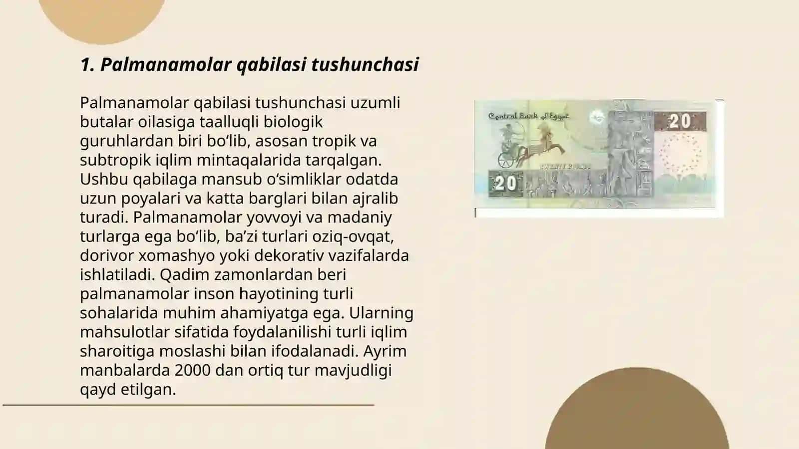 Palmanamolar qabilasi oilalari, tavsifi va asosiy turlari 3