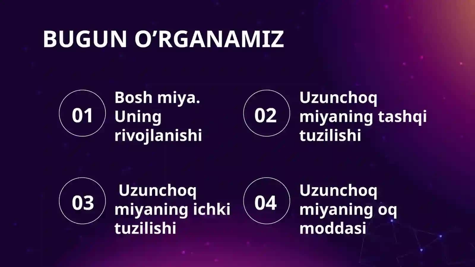 Uzunchoq miya 3