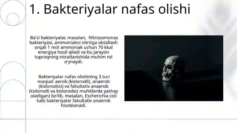 Bakteriyalar fiziologiyasi va hayot faoliyati 3