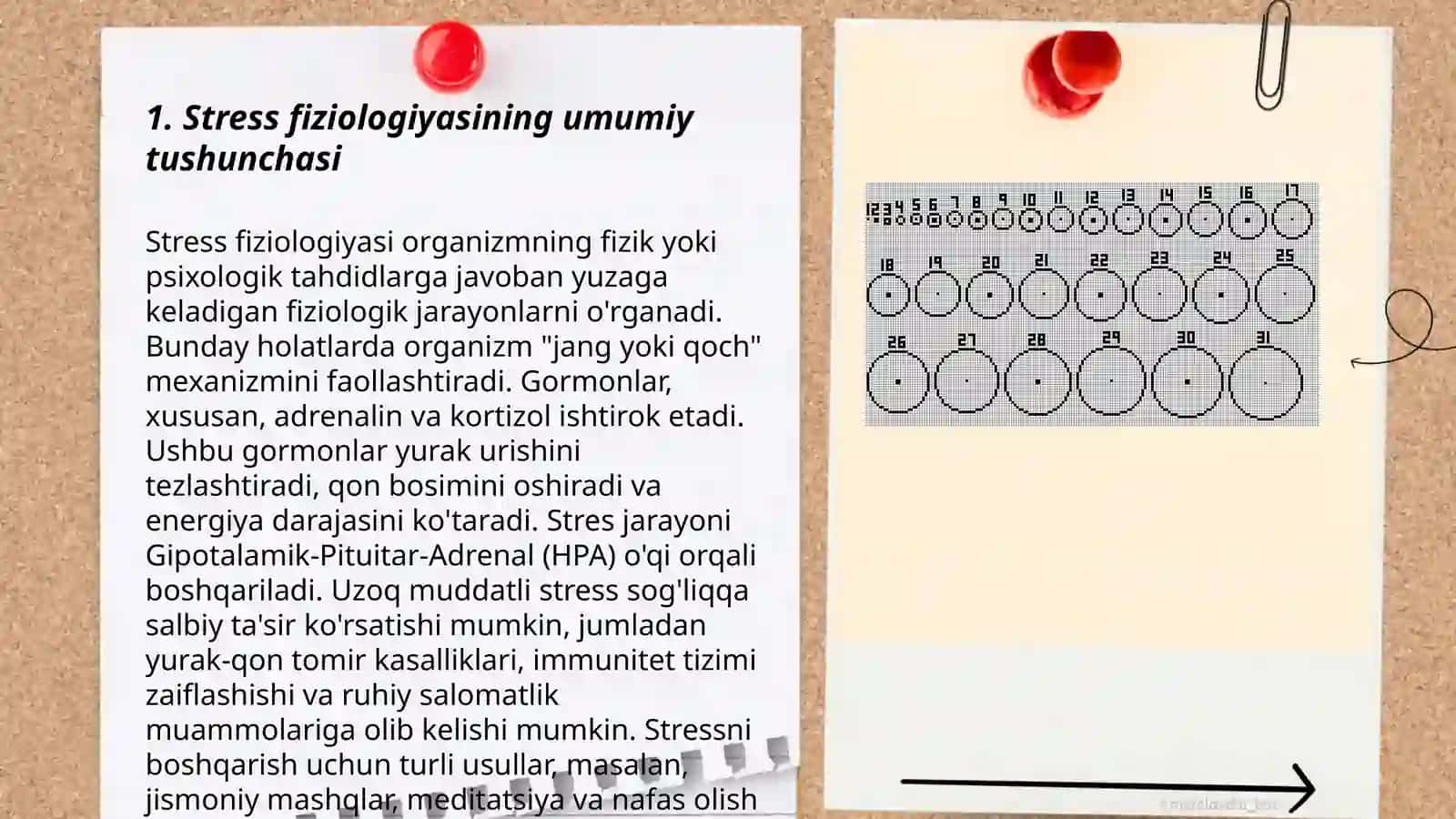 Stressning fiziologiyasi 3