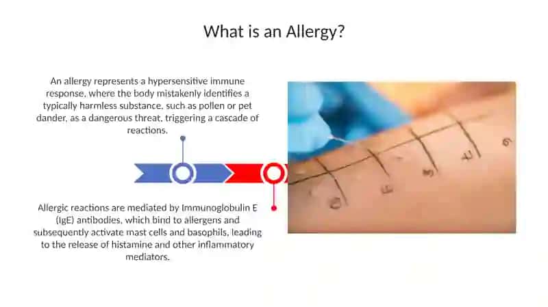 Allergiya 3