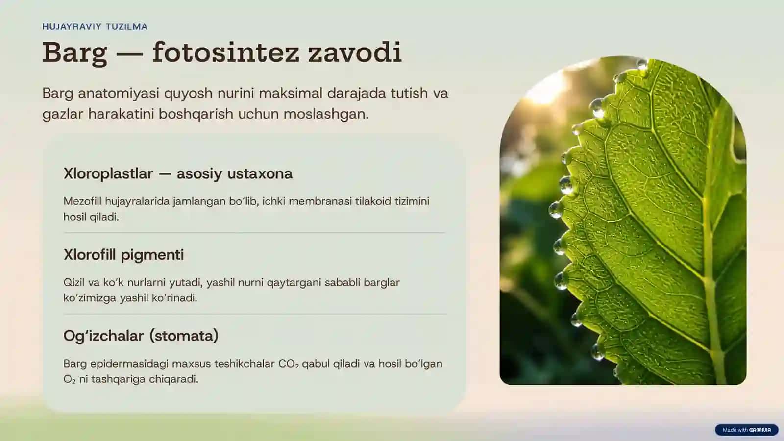 BIOLOGIYA DARSLARI · 10-SINF 3