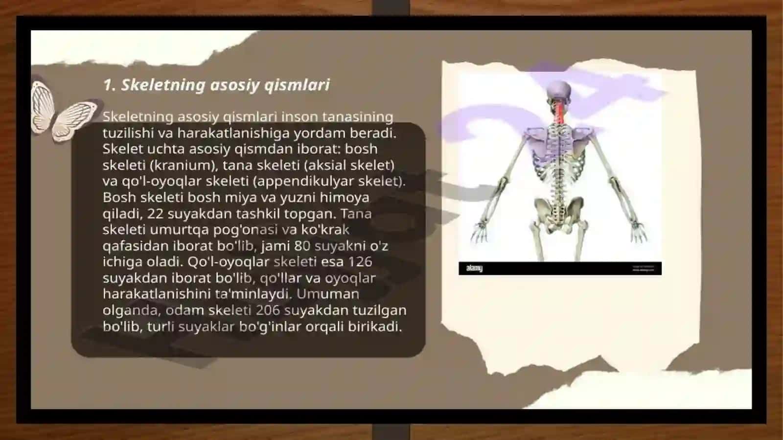 Gavda, qo'l, oyoq suyaklarning tuzilishi 3
