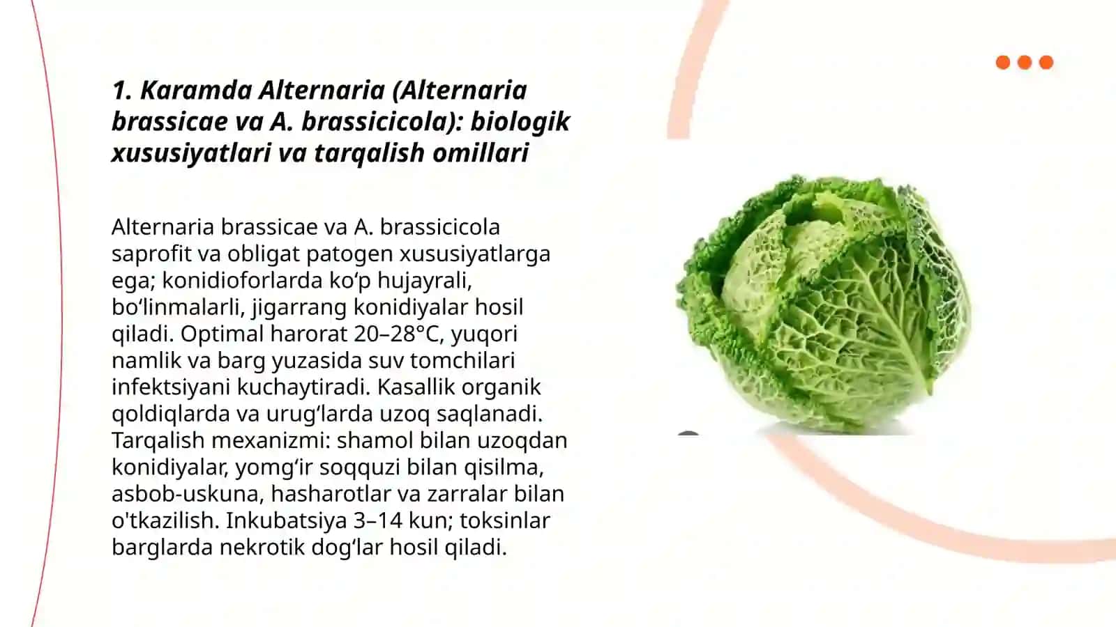 Karam ekinlarida uchraydigan zamburugʻli kasalliklarning biologik xususiyatlari va tarqalish omillari 3