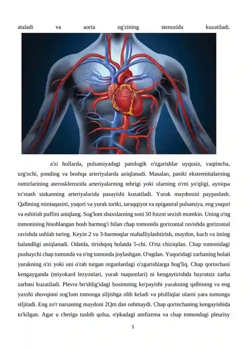 Puls to'lqini 3