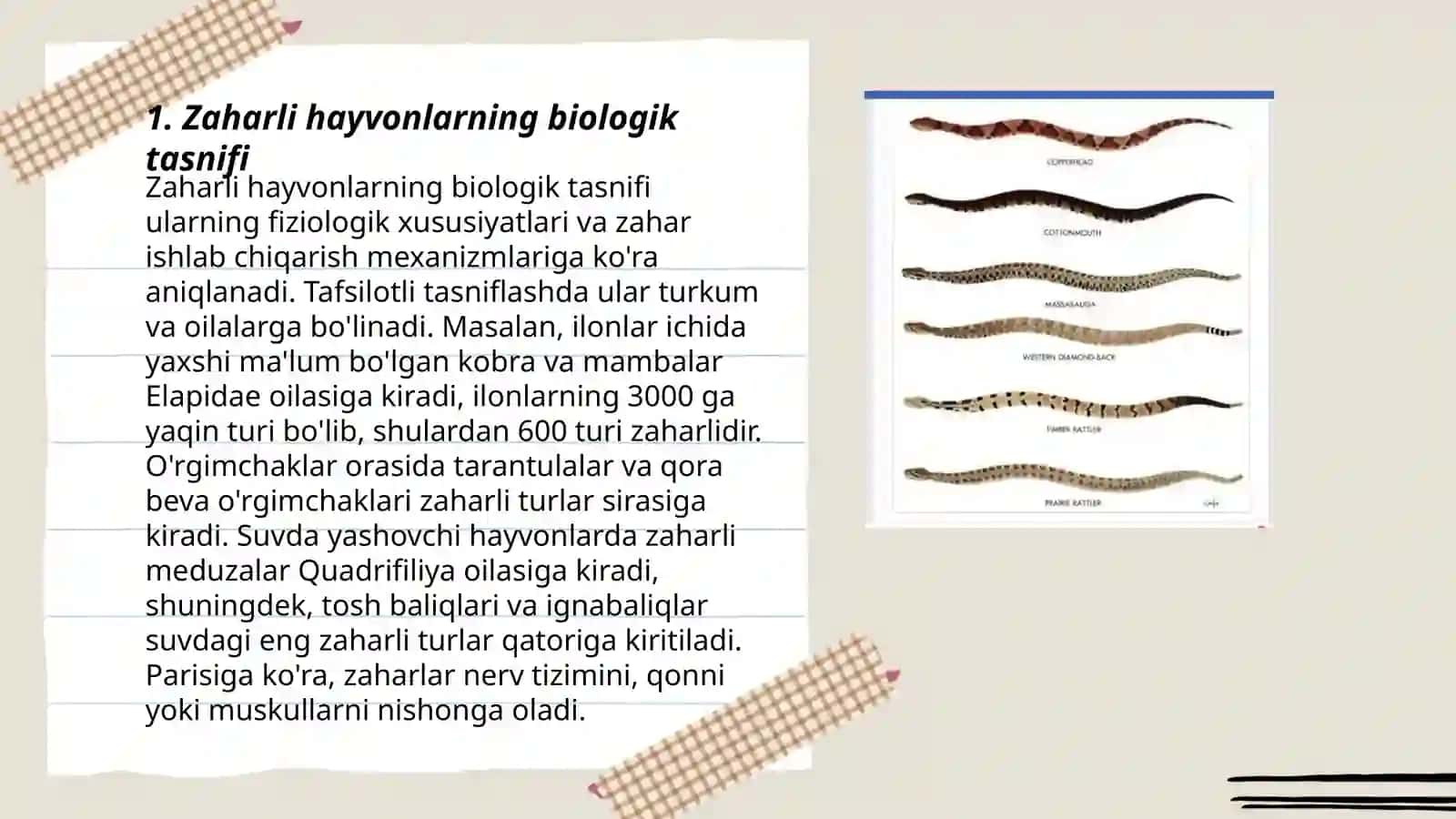 Zaharli hayvonlar sistematikasi 3