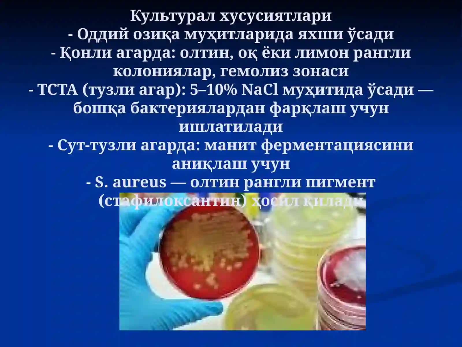 JAROHAT INFEKSIYALARI QO’ZG’ATUVCHILARI taqdimot 3