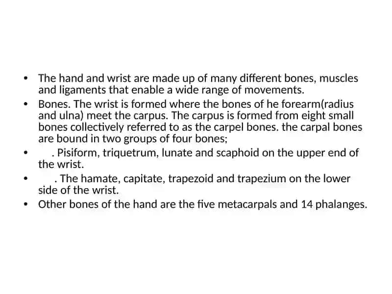 CLINICAL ANATOMY OF THE HAND 3
