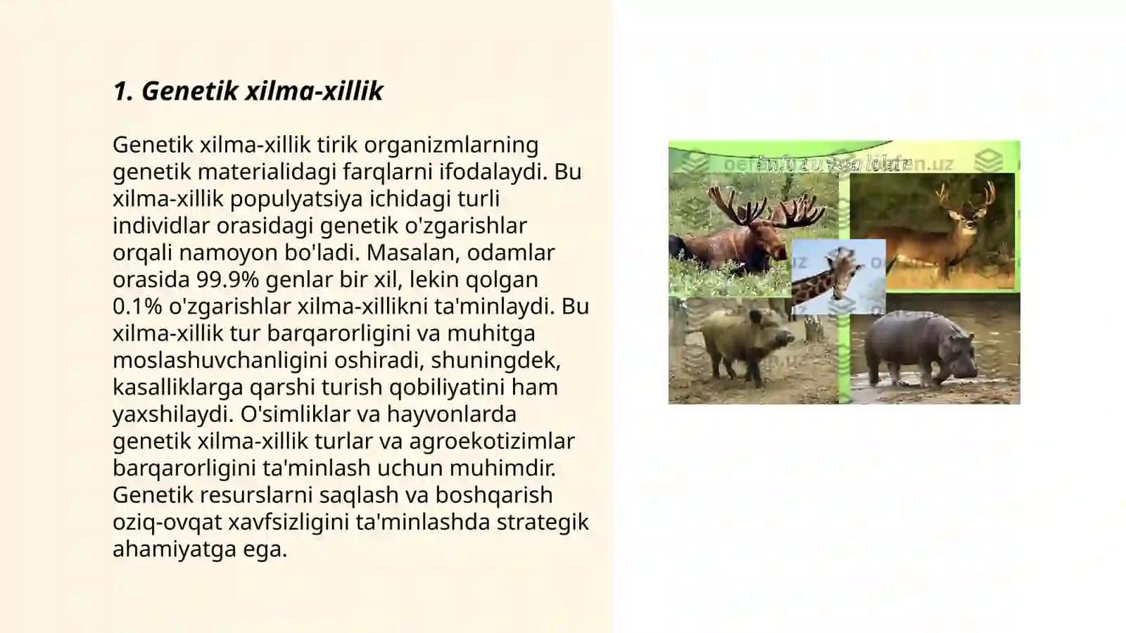 Organik olamning xilma xilligi 3