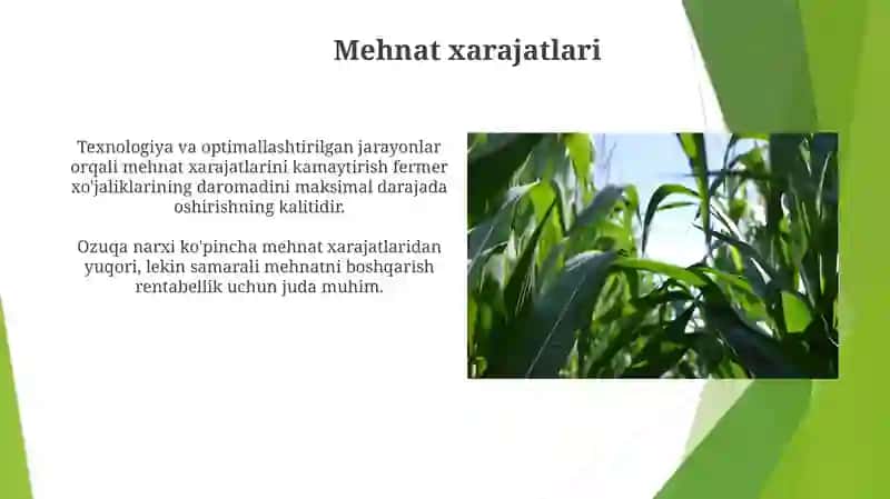 Chorvachilik tarmoqlari iqtisodiyoti 3
