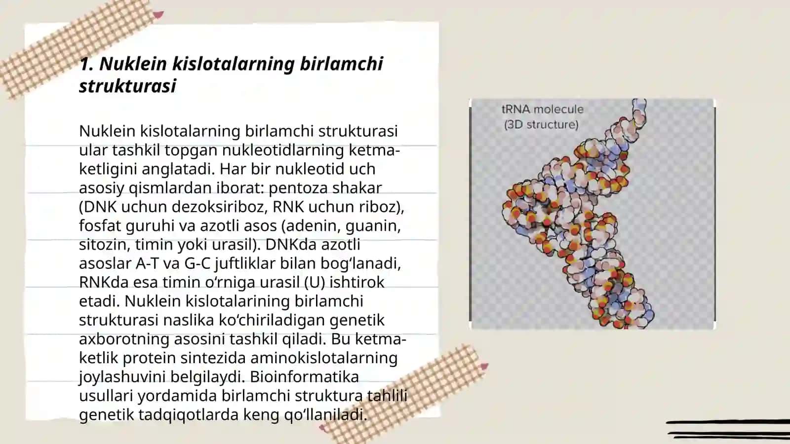Nuklein kislotalarning birlamchi strukturasi.DNKning ikkilamchi strukturasini hosil boʻlishida komplementarlik prinsipi.Chargaff qoidalari.DNK qoʻsh zanjirining tavsifi 3