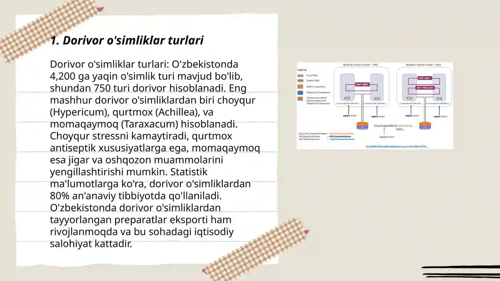 Dorivor o'simliklar sistematikasi va tahlili 3