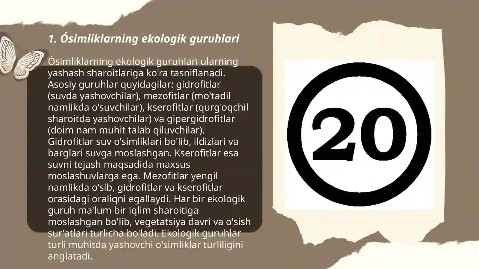 Ósimlik va hayvonlarning ekalogik guruhlari 3