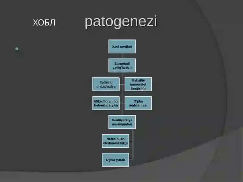 ХОБЛta'rifi 3