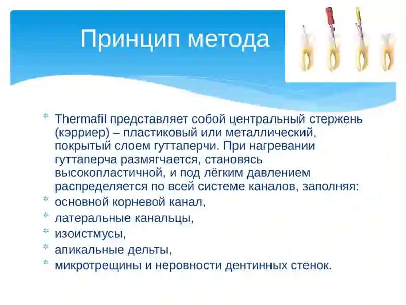 Метод пломбирования корневых каналов термофилом 3