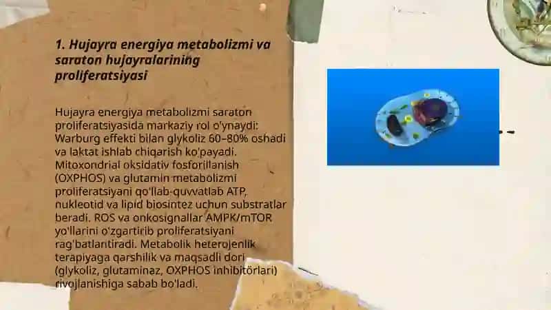 Hujayrada moddalar energiya va malumotlar oqimi hujayra proliferatsiyasi muammolarining tibbiyotdagi roli 3