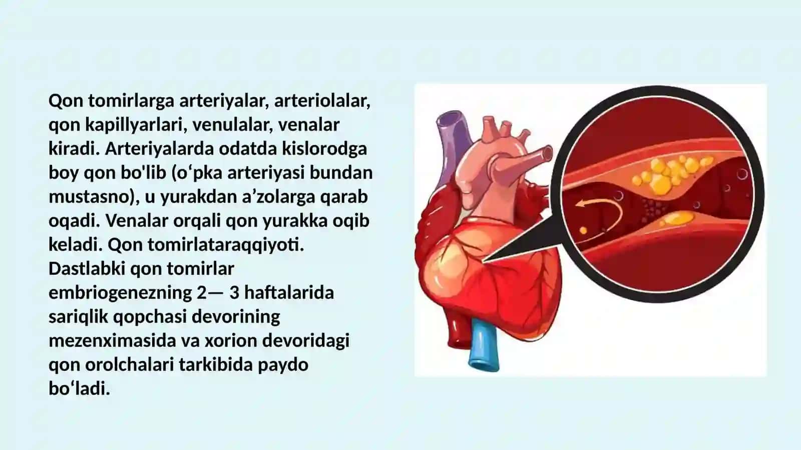 Yurakning rivojlanish nuqsonlari 3