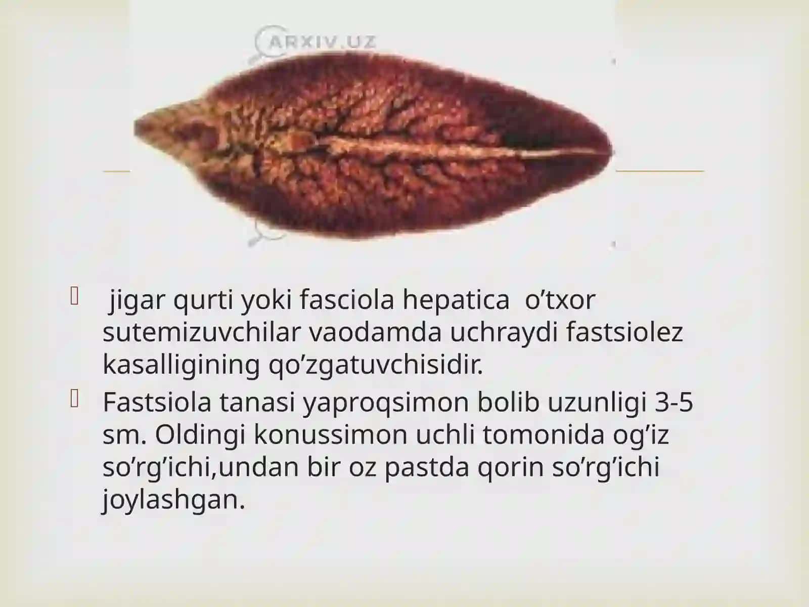 Soʻrgʻichlilar, jgar qurti, odam parazitlari 3