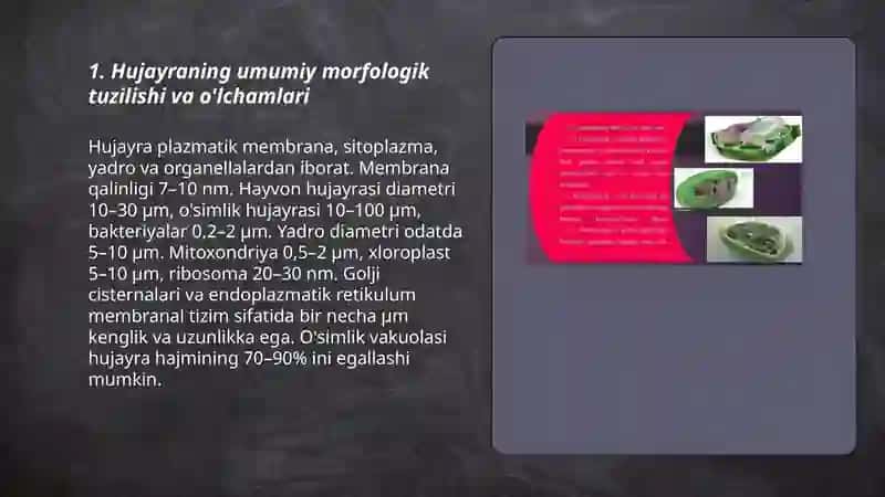 Hujayra va organellalarning morfologik jihatdan tuzilmaviy asosi 3