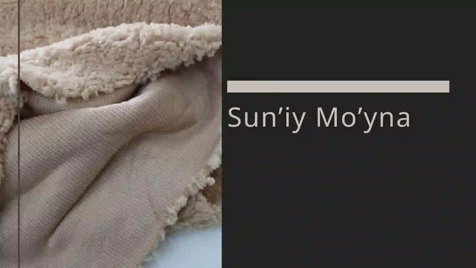 Tabiiy va sun'iy mo'ynaning tuzilishi va xossalari 3