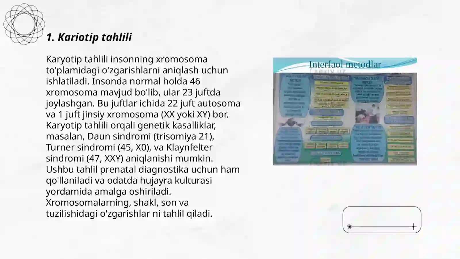Odam genetikasi metodlari sitogenetik metodlar 3