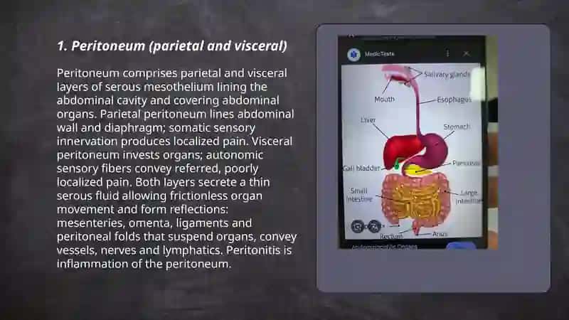 Abdominal cavity 3