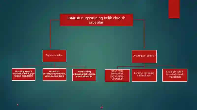 Eshitish qobiliyati 3