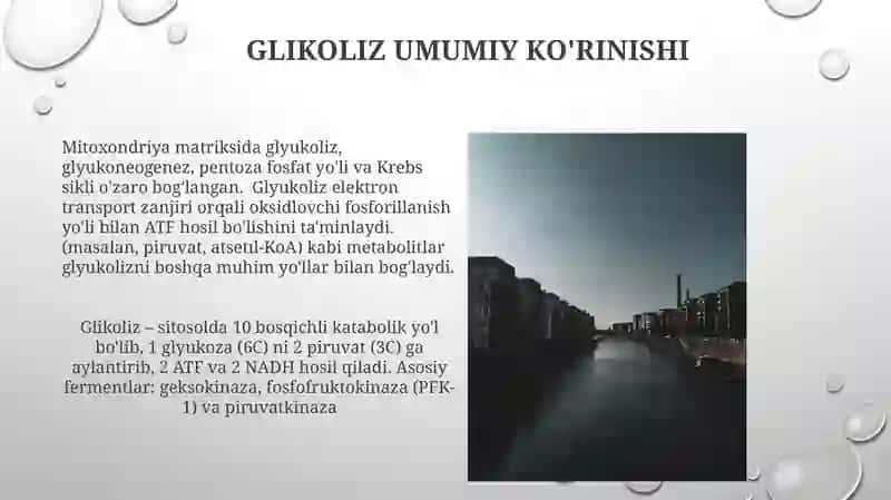 Glikolizning ayrim reaksiyalari 3