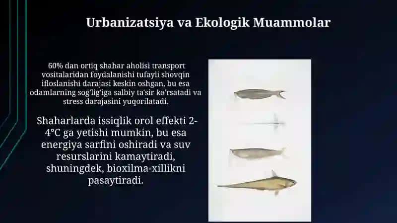 Urbanizatsiya va Ekologik Muammolar 3