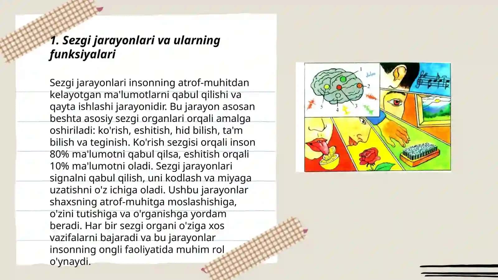 Sezgi idrok xotira diqqat jarayonlar va ularning turli kasalliklarda buzilsh Abdujalilova Zuhra 3