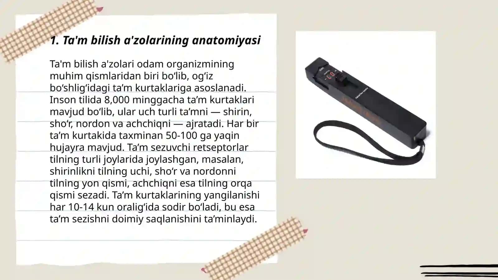 Ta'm bilish a'zosining morfo-funksional tovsifi 3