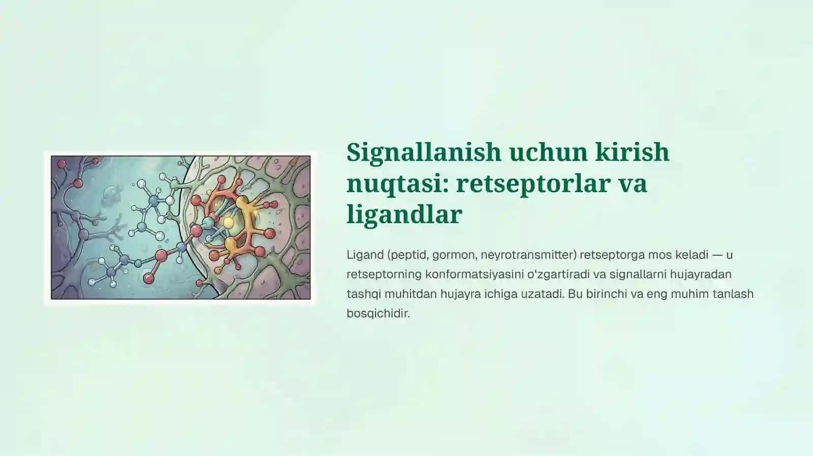 Signallarni membrana orqali uzatilishi 3