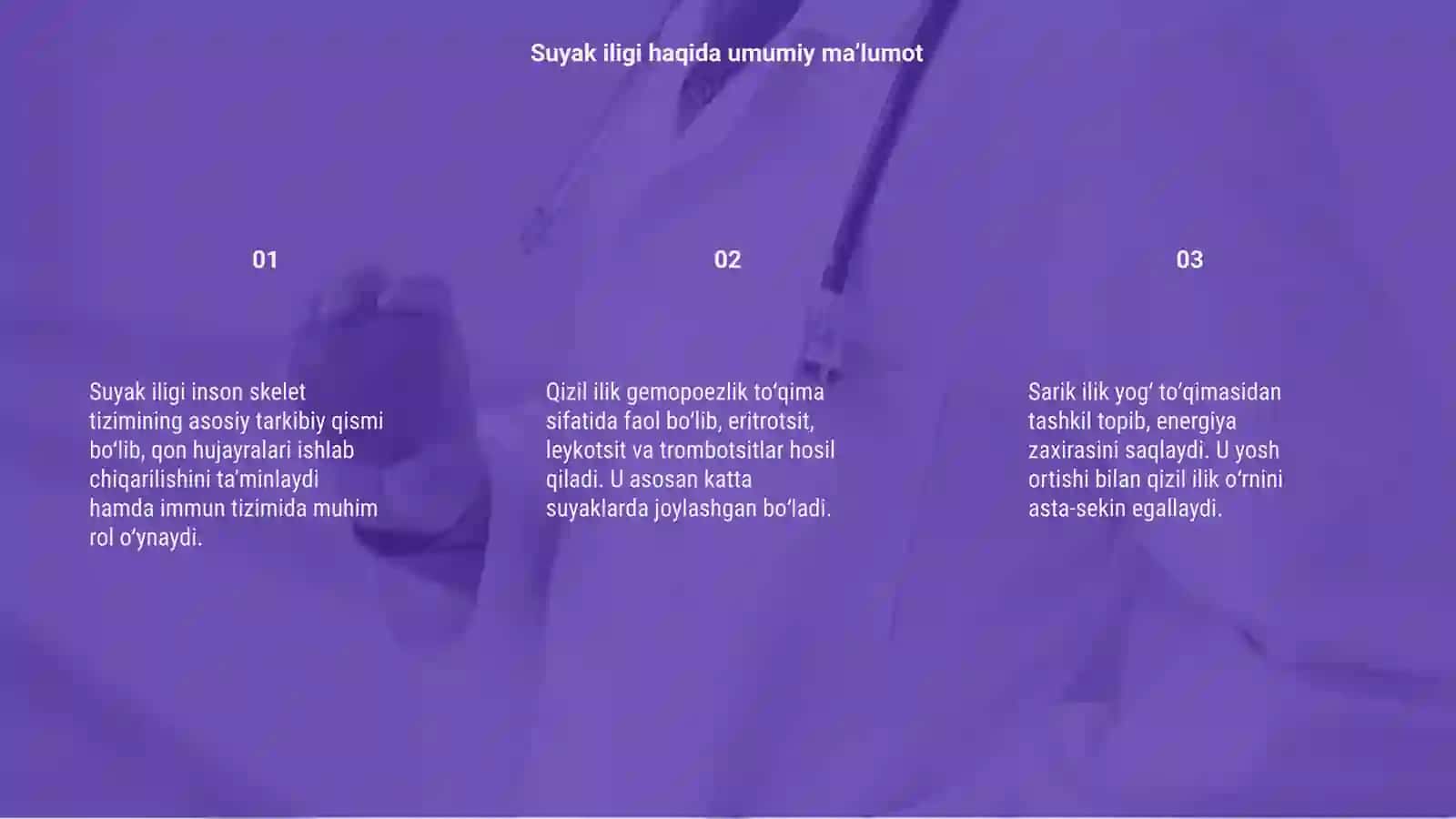 Suyak iligi 3
