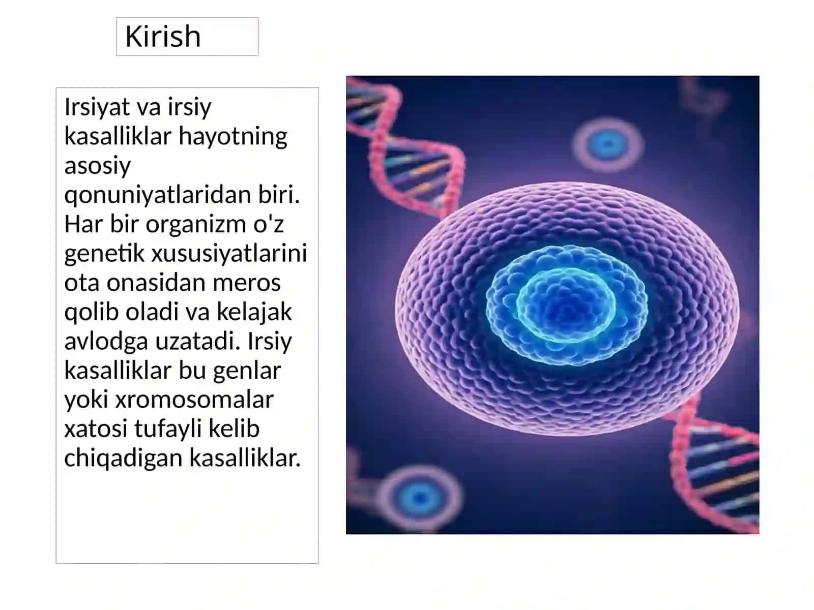 Irsiyatvairsiykasalliklar 3
