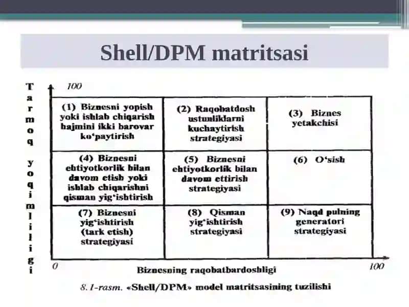 Shell/DPM modeli 3