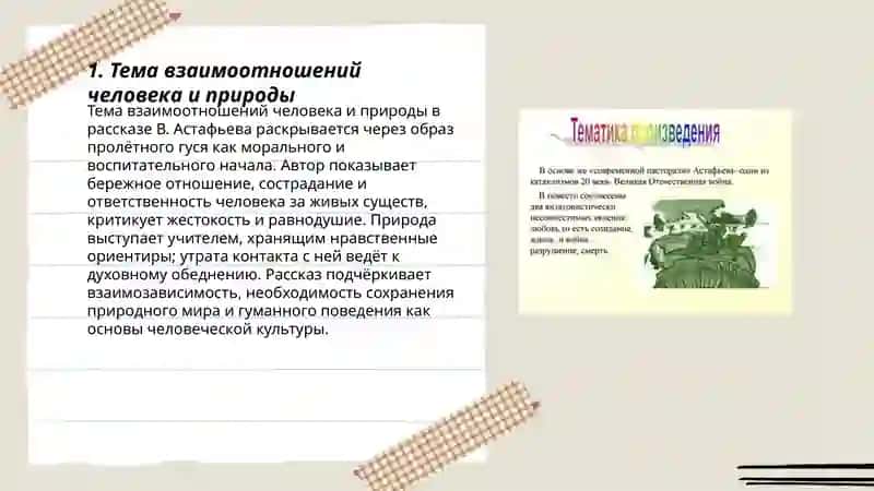Пролётный гусь 3