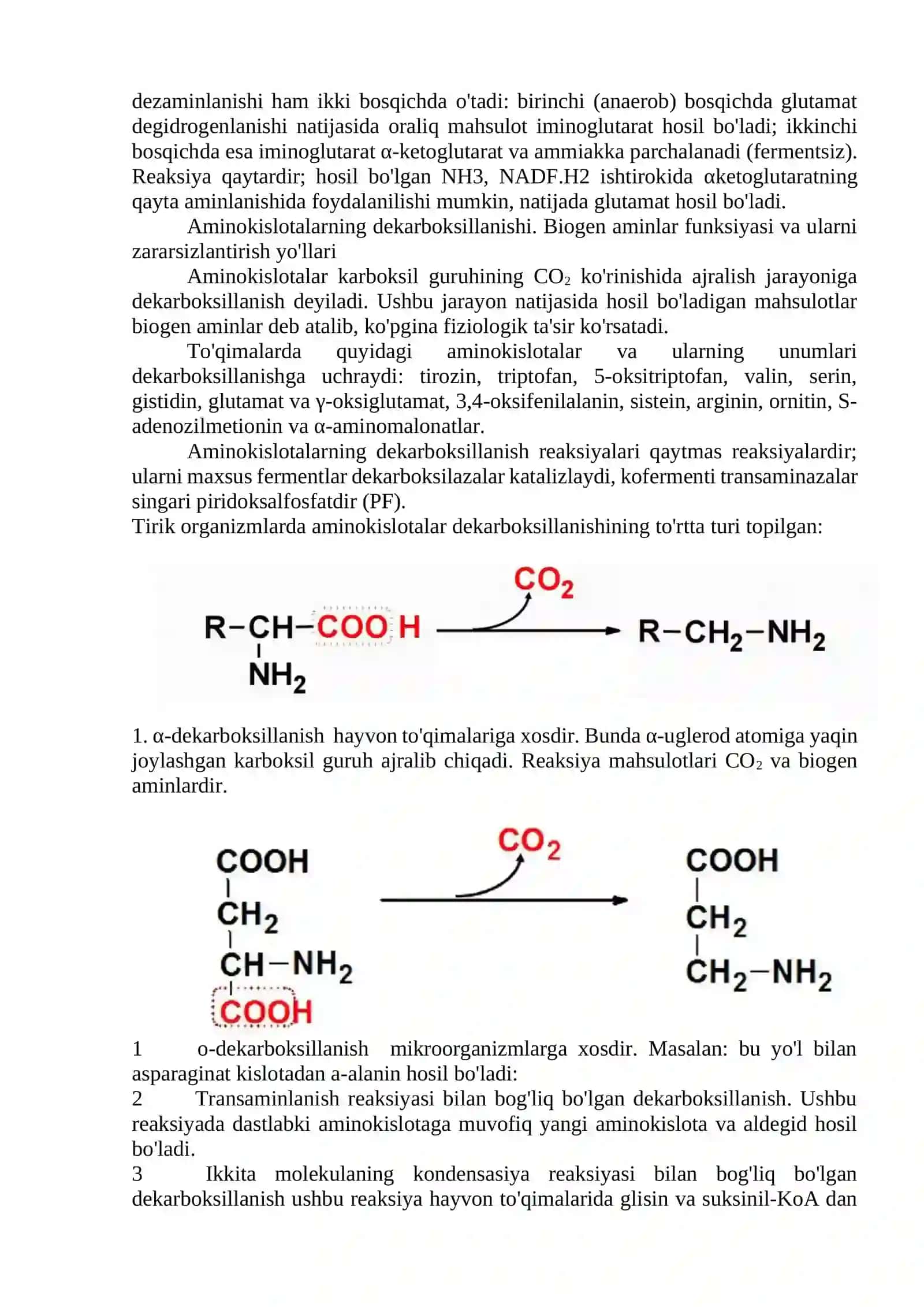 Oqsillar hazmlanishi, aminokislotalar almashinuvining umumiy yo’llari 3