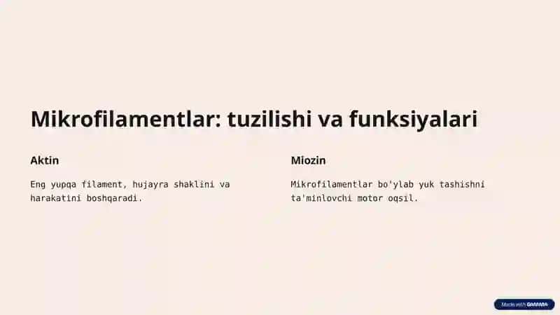 Sitoskeletning asosiy elementlari 3
