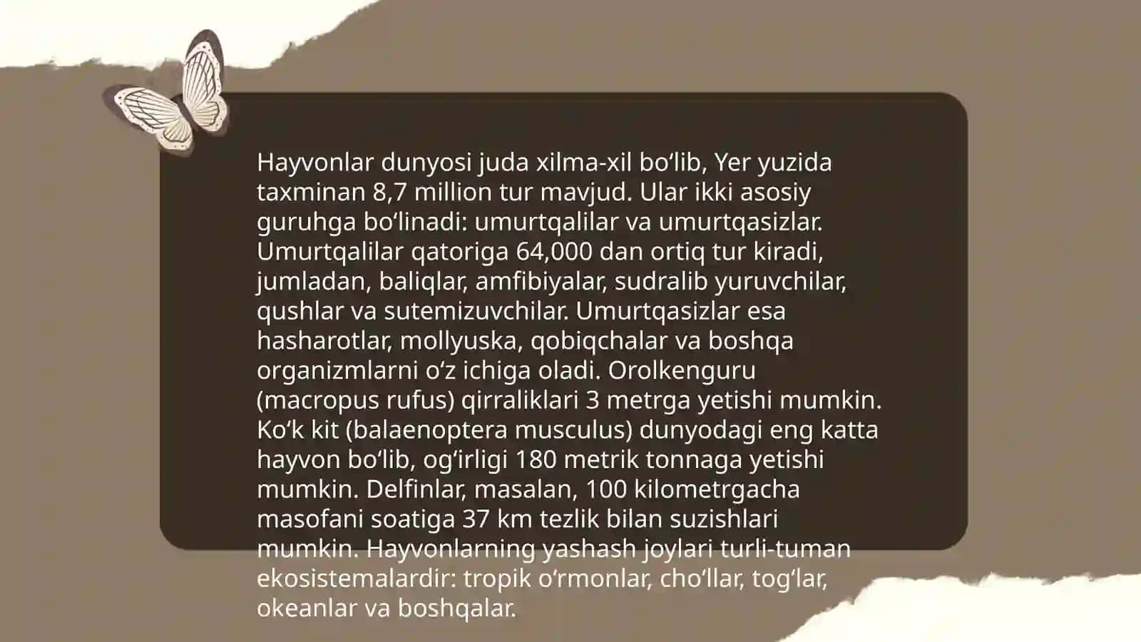 Devoni lug'atit-turk 3