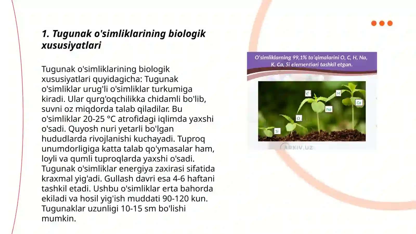 Tugunak va ildizmevali o‘simliklar 3