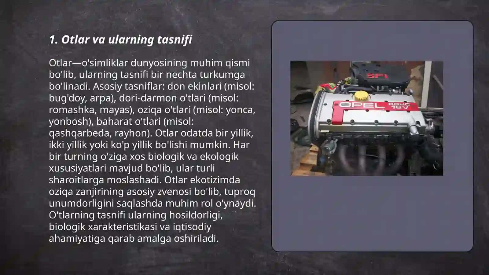 Grammatika. Morfologiya. So'z turkumlari, ularning tasnifi 3