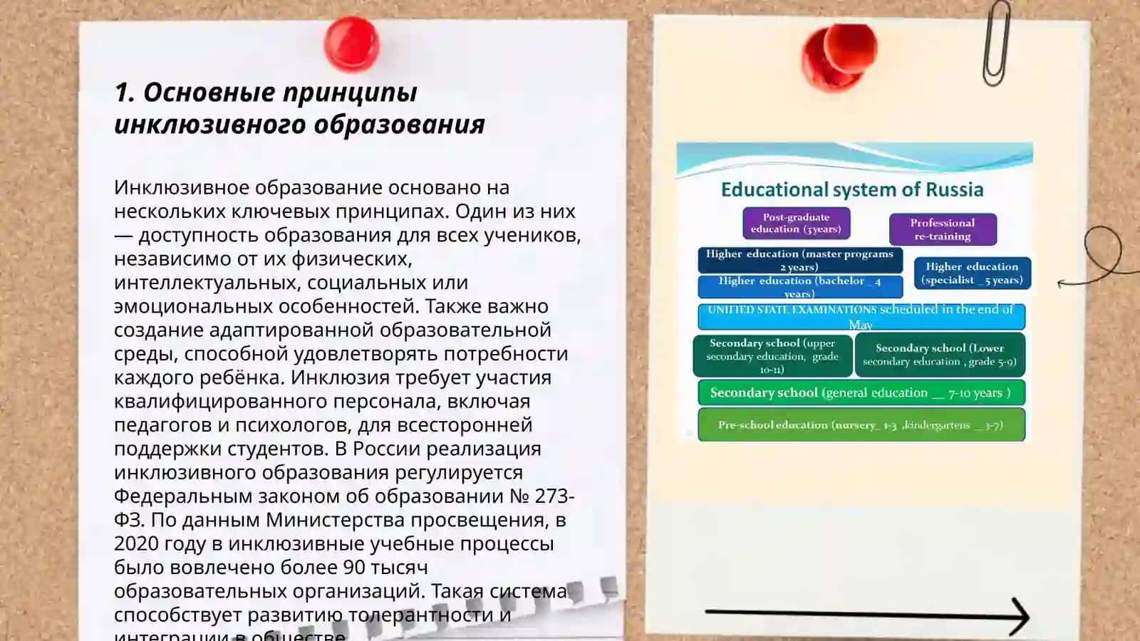 Принципы инклюзивного образования, его потребности, причины и этапы 3