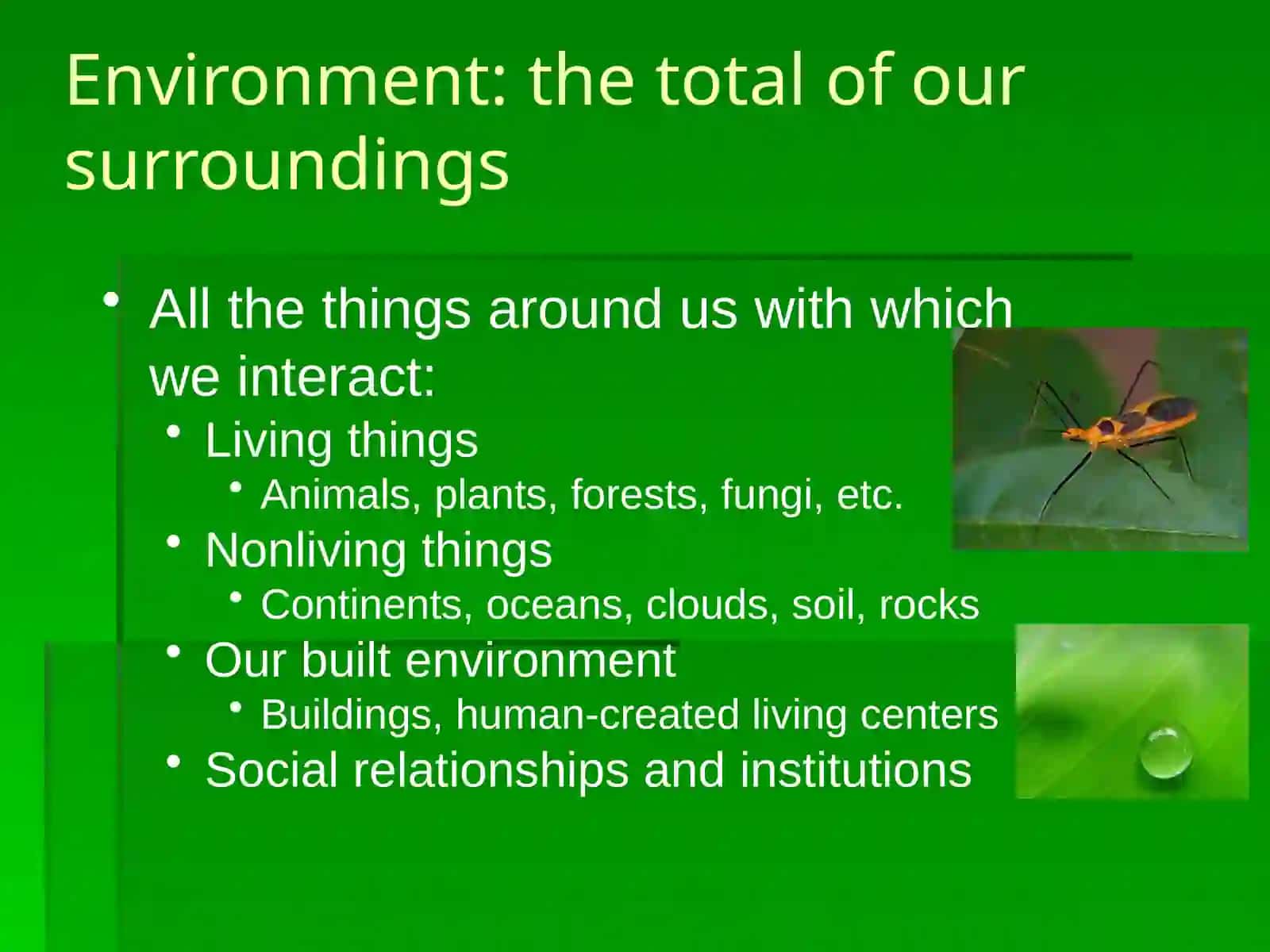 Environmental Science 3