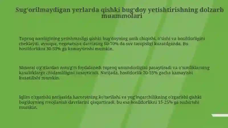 Kuzgi bug‘doyning lalmi yerlarda yetishtirishda innovatsiyon texnologiyasi 3