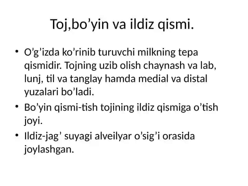 tishlarni anatomik tuzilishi 3