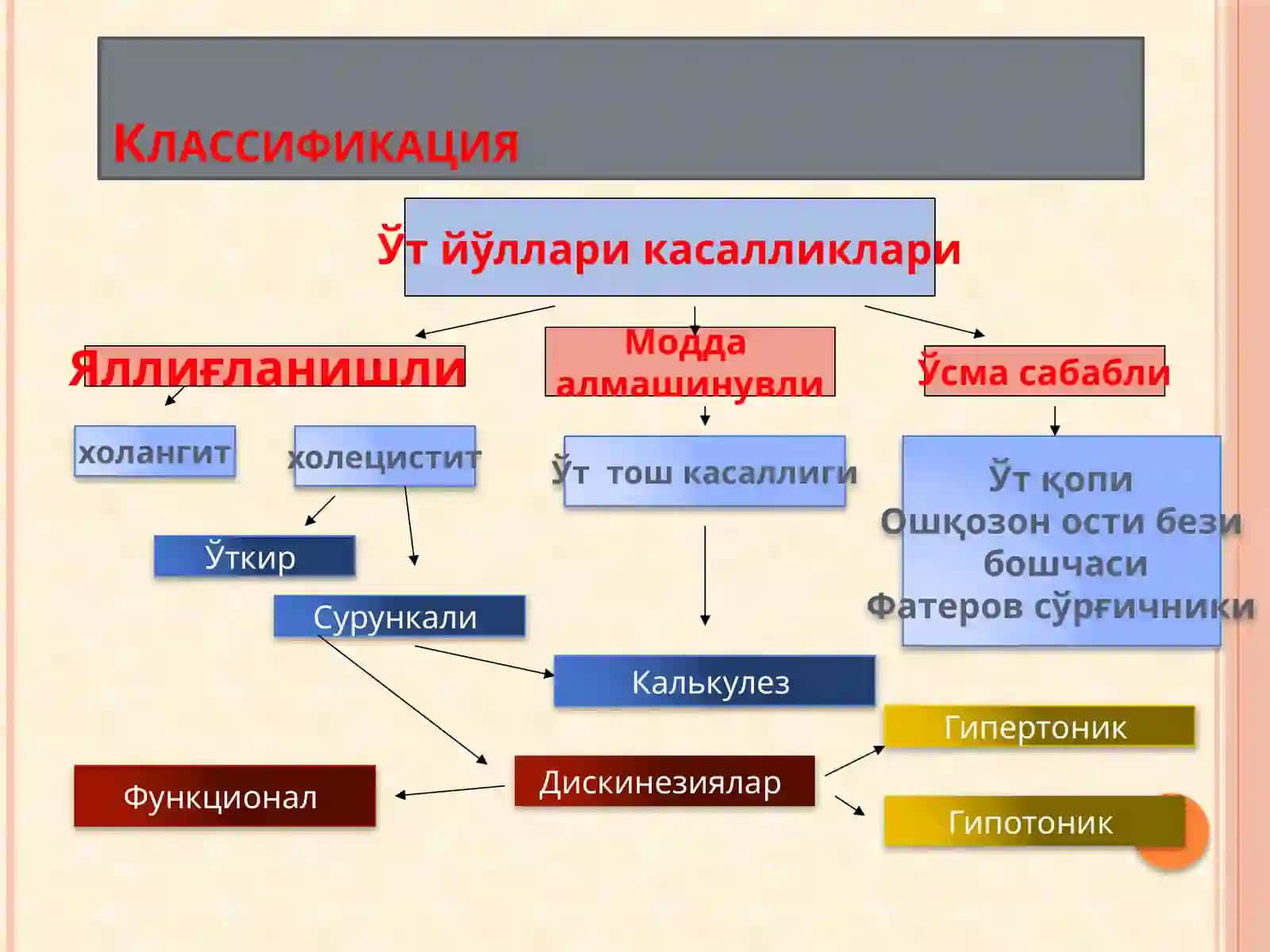 ЎТ ЧИҚАРУВ ЙЎЛЛАРИ ДИСКИНЕЗИЯСИ 3