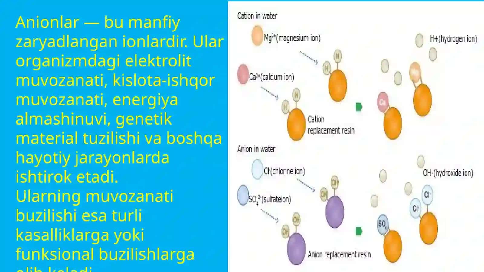 1,2,3-guruh anionlarining biologik ahamiyati 3