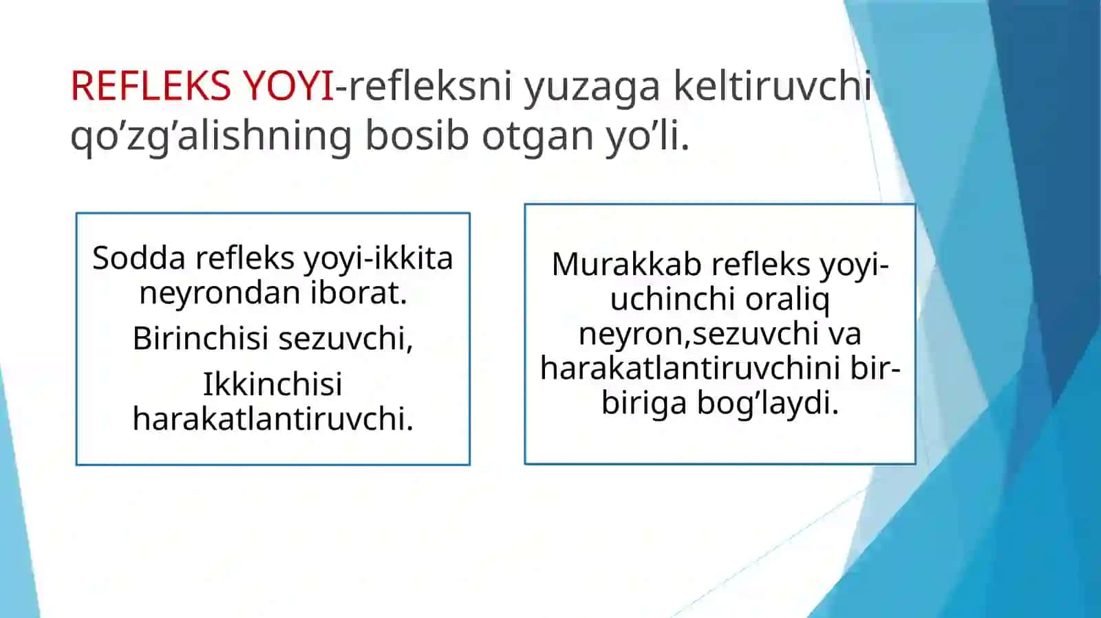 O'tkazuv yo'llari 3