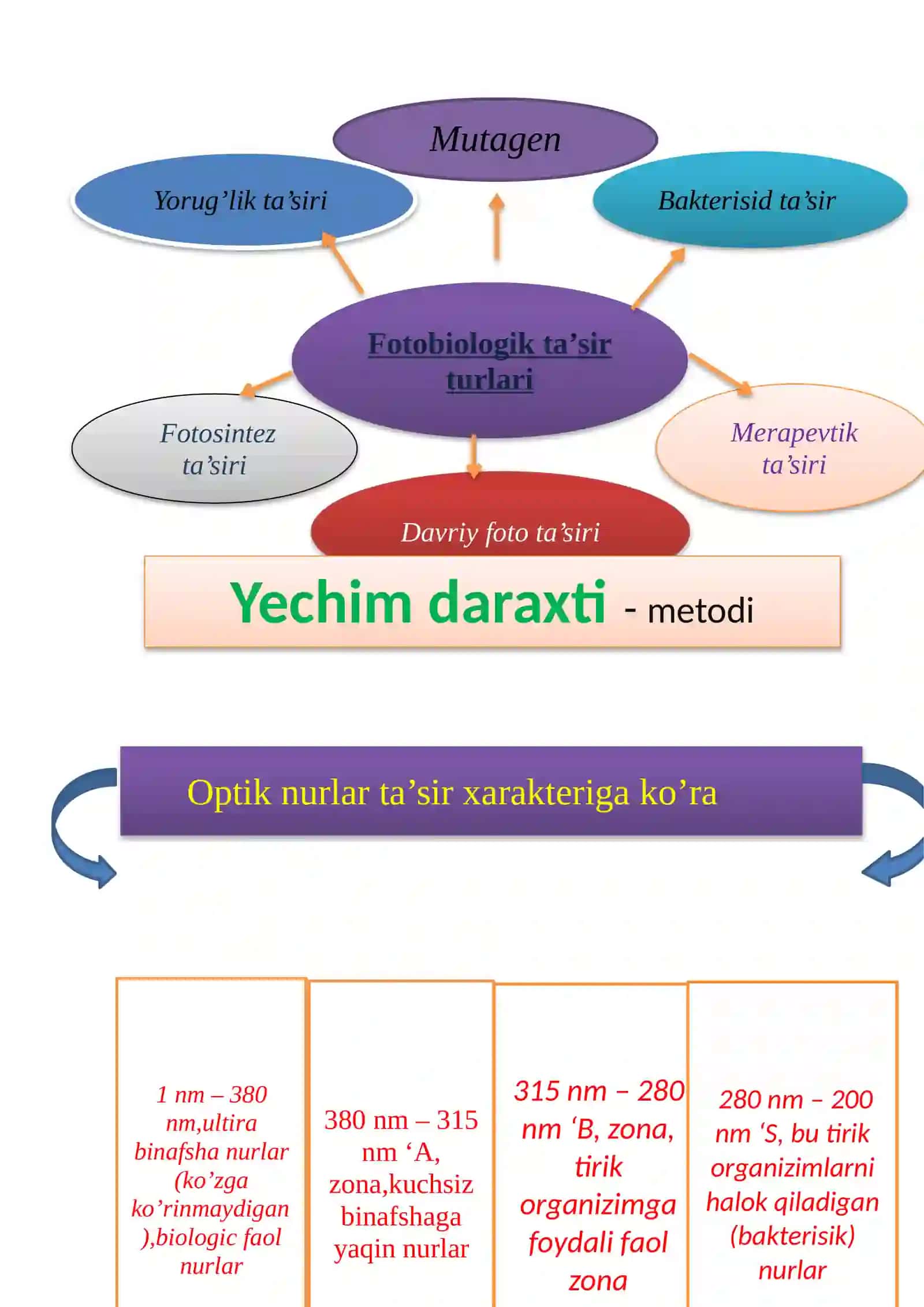 OPTIK NURLARNING FOTOBIOLOGIK TA’SIRLARI. OPTIK NURLANISHLARNING KATTALIKLARI VA O‘LCHOV BIRLIKLARI 3